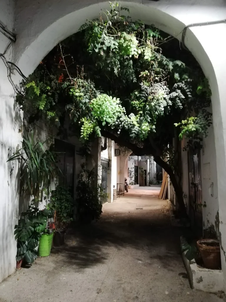 Coworking_La_bañera_del_Pelícano_Sevilla_2